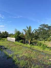 🇮🇩 Campuhan Ridge Walk