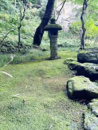 【神奈川県　鎌倉市の禅寺　報国寺で美しい苔の庭と竹林を歩みお抹茶を一服】 