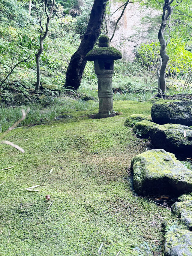 【神奈川県　鎌倉市の禅寺　報国寺で美しい苔の庭と竹林を歩みお抹茶を一服】 