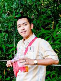 น้ำตกเต่าทอง - พังงา 