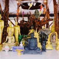 วัดเขาชวัง