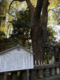 久能山東照宮｜徳川家康が眠る国宝の社殿