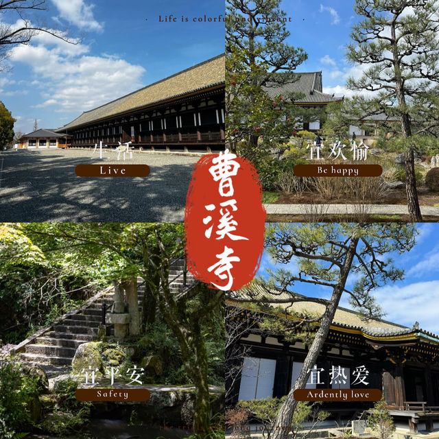曹溪寺🌳清幽寧靜 