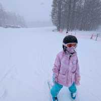 🇯🇵岩手「雫石王子飯店」 東北粉雪天堂，性價比超高的滑雪度假體驗