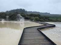 新西蘭｜Wai-O-Tapu 地熱溫泉館♨️