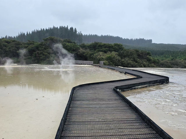 新西蘭｜Wai-O-Tapu 地熱溫泉館♨️