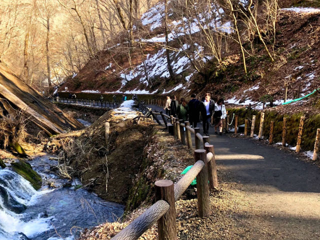 【長野/軽井沢】絹糸のように流れ落ちるパノラマ絶景＊白糸の滝＊