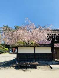 Tsuruga Castle ปราสาทไร้พ่ายแห่งฟุกุชิมะ