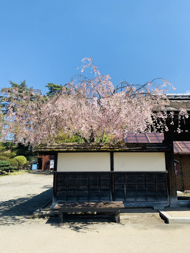 Tsuruga Castle ปราสาทไร้พ่ายแห่งฟุกุชิมะ