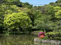 Step into History at Tsurugaoka Hachimangu Shrine