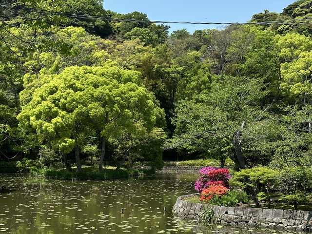 Step into History at Tsurugaoka Hachimangu Shrine