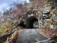 🇯🇵【愛媛県】西日本一の石鎚山へと続く天空の道🚗