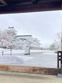 ปราสาทโทยามะ Toyama Castle Ruins