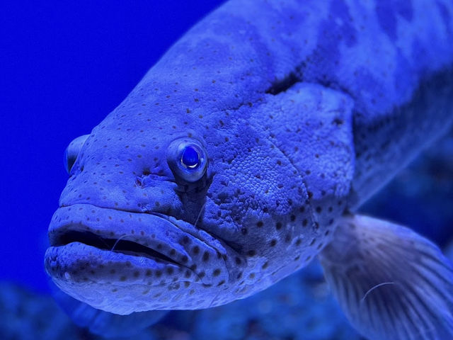 登別水族館🤍【登別マリンパークニクス】