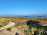 Marker Wadden