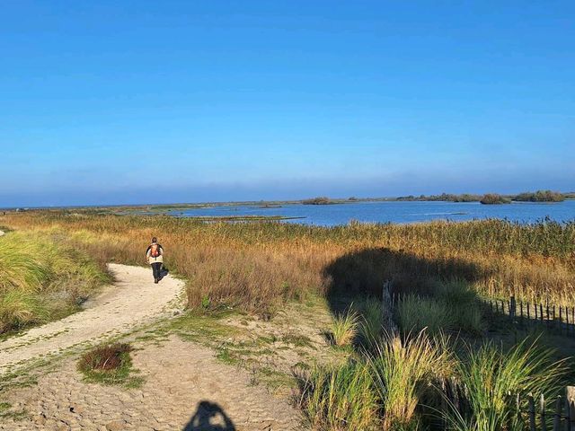 Marker Wadden
