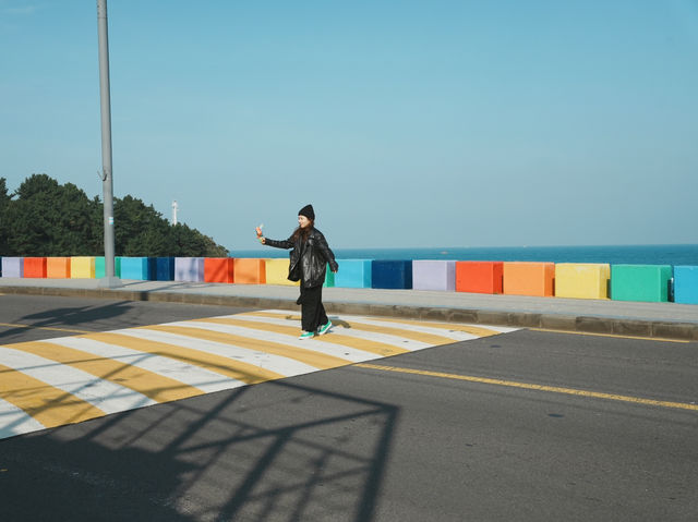 怎麼拍都美！濟州島 道頭洞彩虹海岸公路打卡指南 📸