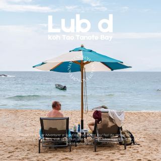 Travel to Koh Tao, stay at Lub d Koh Tao Tanote Bay 🌿✨