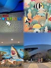 首爾水下漫遊：Coex與一山水族館一日遊🌊💞