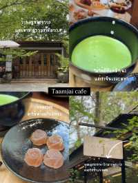 Matcha 🍵🍡 รวมร้านมัทฉะที่ได้ลองและชอบ 🍃