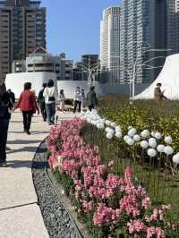 National Taichung Theater: Where Architecture and Art Collide 