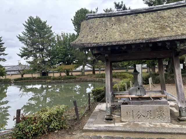 日本第一個被列入世界文化遺產地方