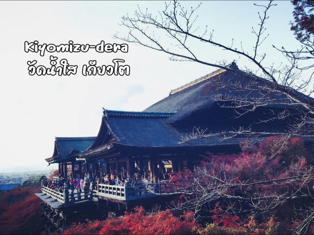 วัดคิโยมิซุ ความงาม ช่วงใบไม้เปลี่ยนสีที่เกียวโต