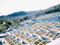 建築美と自然が融合した特別な空間 🌿
