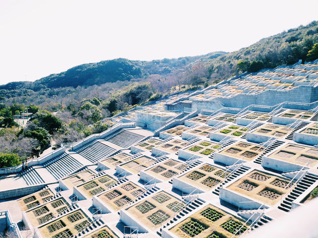 建築美と自然が融合した特別な空間 🌿