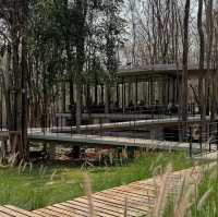 Ravenscale Khaoyai • Nakhon Ratchasima 