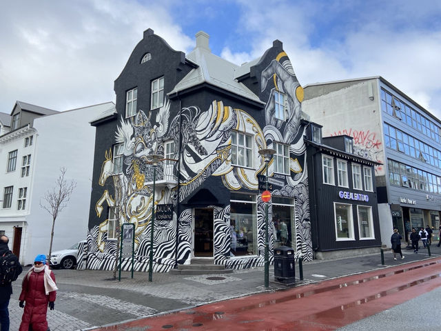  🇮🇸冰島首都shopping攻略