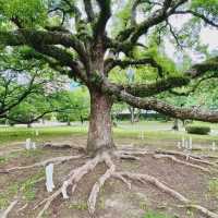 見どころがたくさんアートな公園