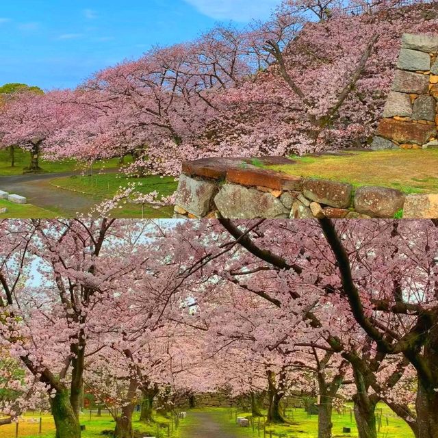 福岡