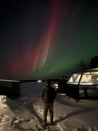 Magical Stay Ranua Resort Arctic Igloo