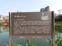 秋紅谷景觀生態公園