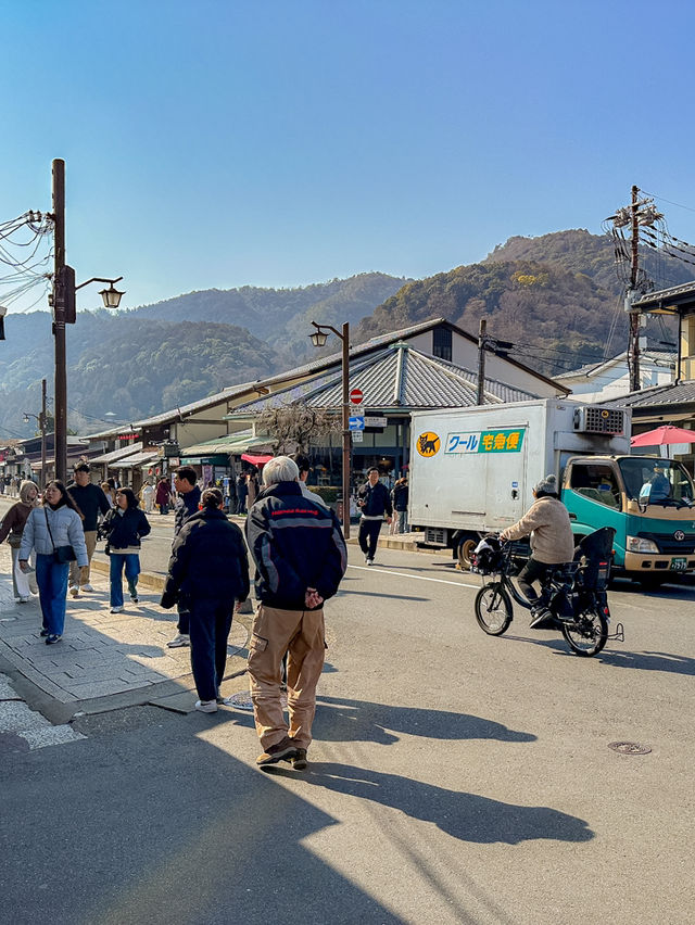 교토 아라시야마 여행 코스 추천🎋