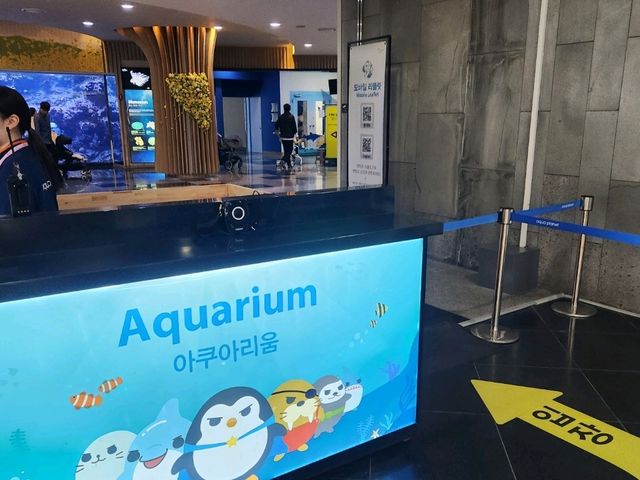 제주 비오는날 가기 좋은 아쿠아플라넷 성산