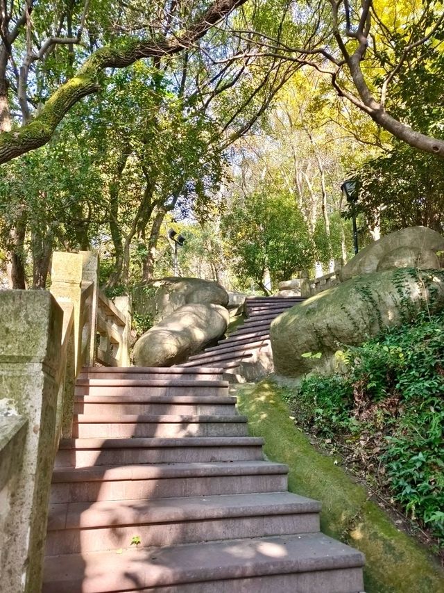 Yangming Park: A Scenic Stroll with a View