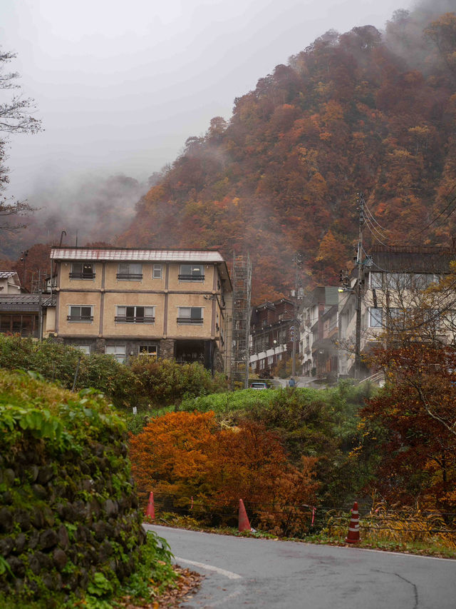 戸隠の鏡池🌿 静寂に包まれた絶景リフレクション