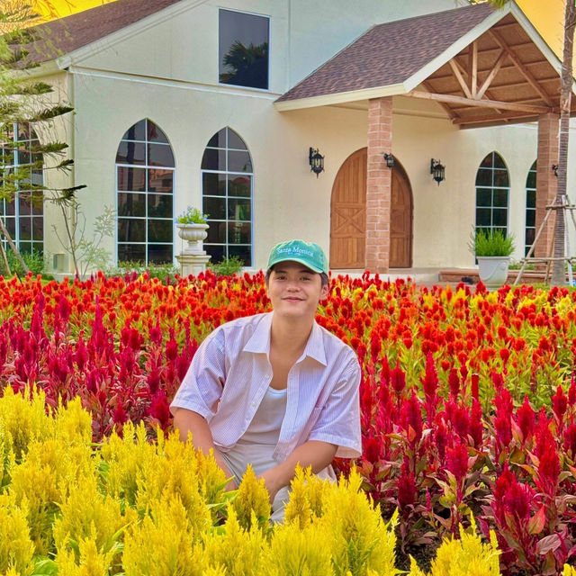 คาเฟ่สวนดอกไม้ มู้ดดีต่อใจสุดๆ 🤍🌸🌷
