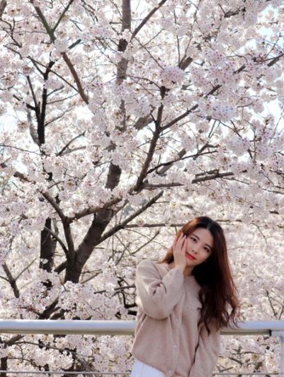 서울 벚꽃여행 어디로 갈까! best3