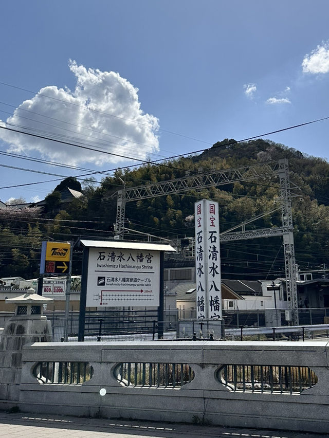 【京都】石清水八幡宮駅から行ける桜祭りは必見！