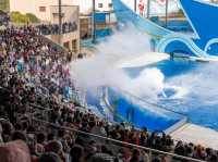 สวนสนุกโลกใต้ทะเล Shanghai Haichang Ocean Park