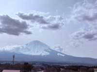 東京追櫻河口湖追富士山