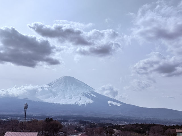 東京追櫻河口湖追富士山