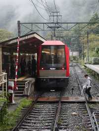 箱根登山鉄道で行く山の旅！大平台〜宮ノ下の絶景ルート🚋