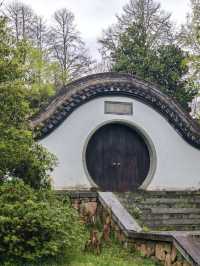 Verdant Serenity: Discovering Hangzhou Botanical Garden