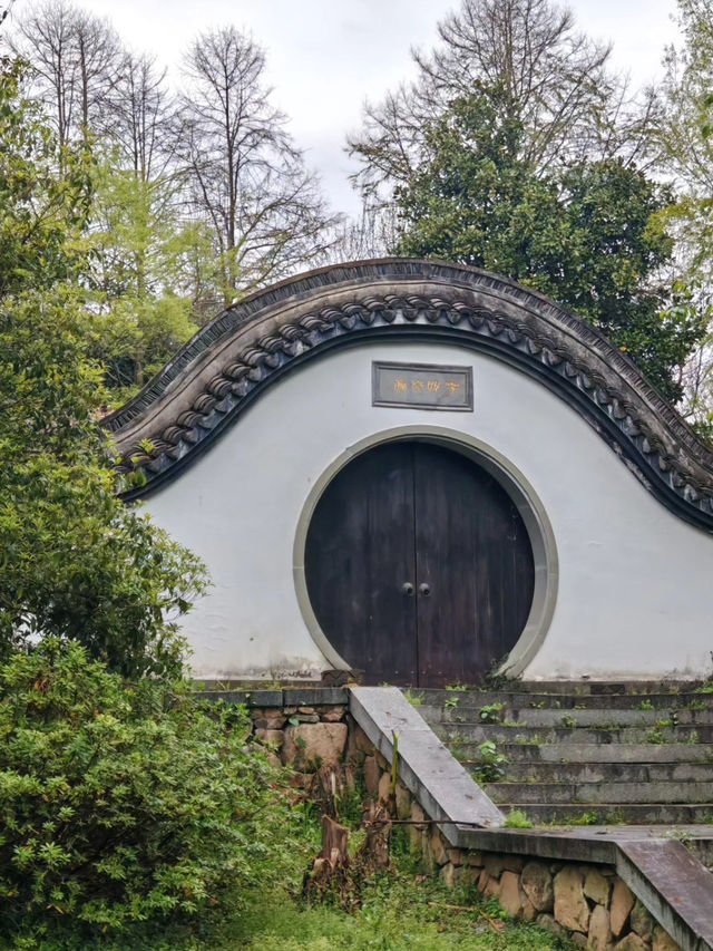 Verdant Serenity: Discovering Hangzhou Botanical Garden