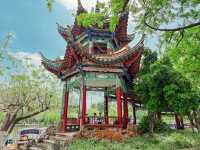 สวนสาธารณะ คุนหมิง cuihu park 🇨🇳