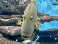 Museum of Oceanography
